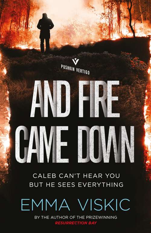 Book cover of And Fire Came Down: Unputdownable aussie noir with a twist in the tail (Caleb Zelic #2)