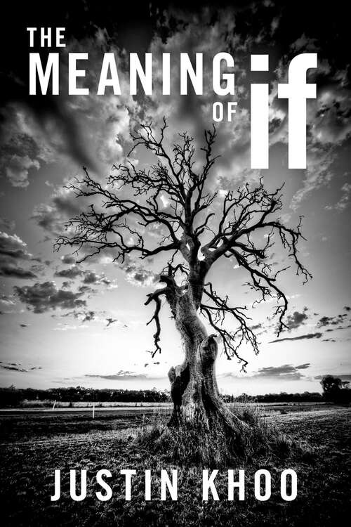Book cover of The Meaning of If