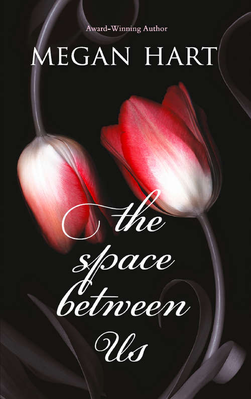 Book cover of The Space Between Us (ePub First edition)
