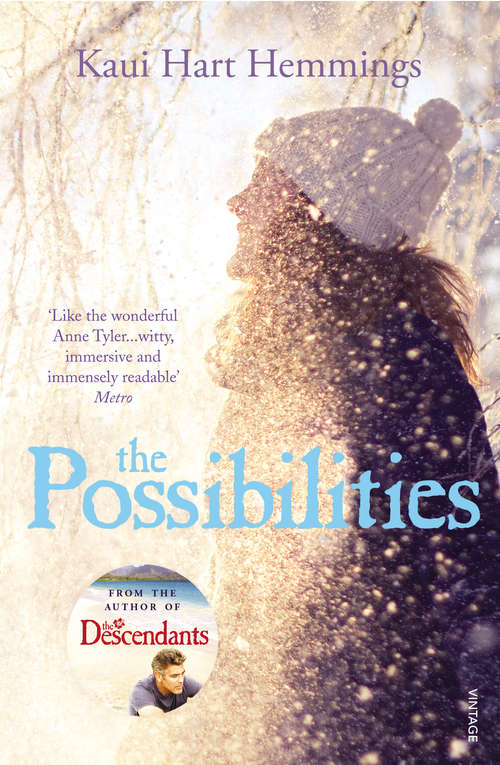 Book cover of The Possibilities