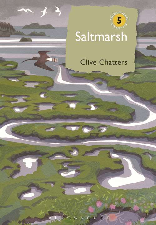 Book cover of Saltmarsh (British Wildlife Collection)