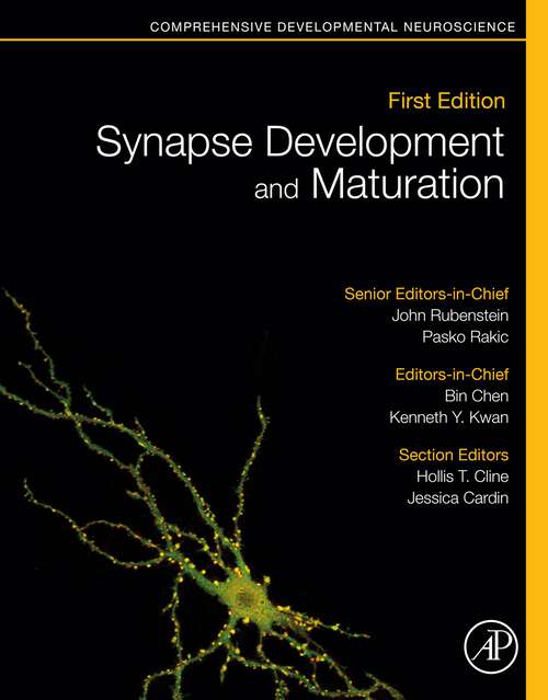 Book cover of Synapse Development and Maturation: Comprehensive Developmental Neuroscience (2)