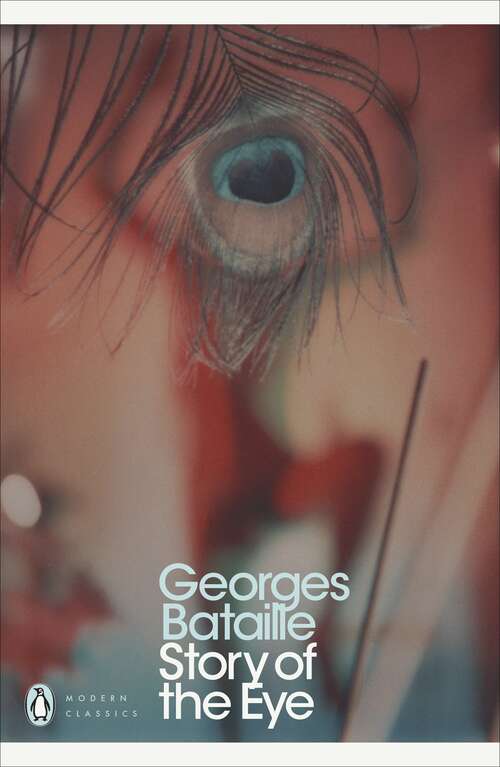 Book cover of Story of the Eye (Modern Classics Ser.)
