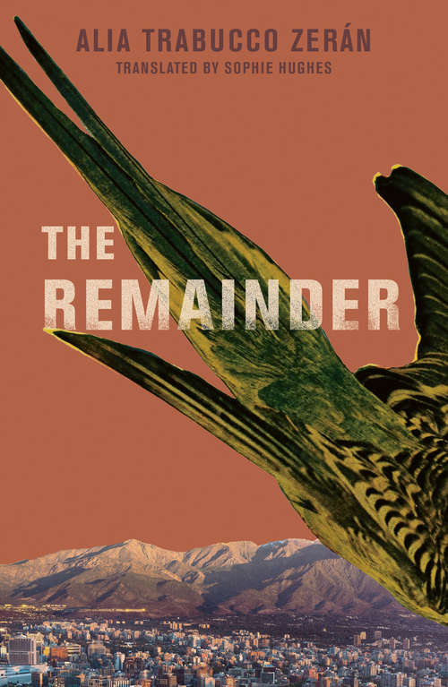 Book cover of The Remainder