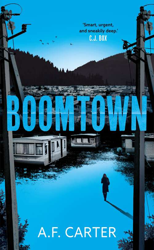 Book cover of Boomtown