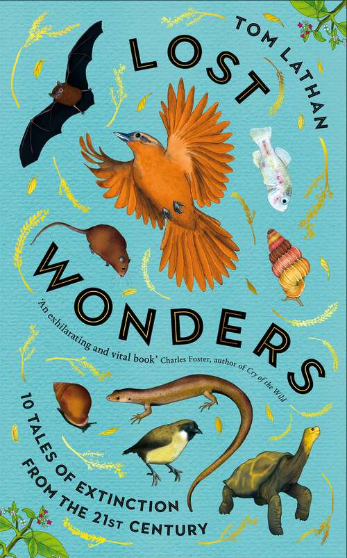 Book cover of Lost Wonders: 10 Tales of Extinction from the 21st Century