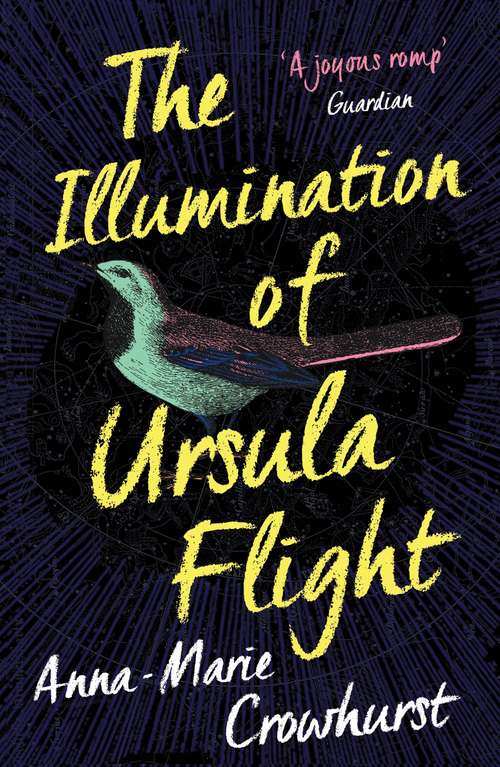 Book cover of The Illumination of Ursula Flight (Main)