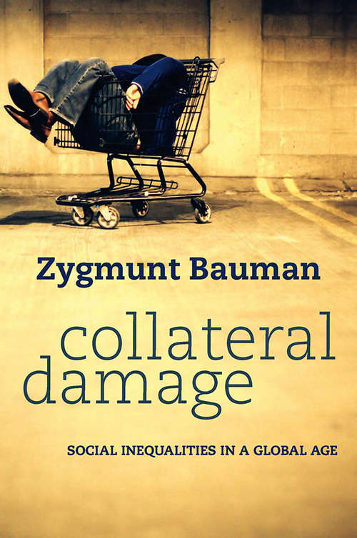 Book cover of Collateral Damage: Social Inequalities in a Global Age