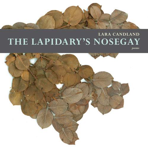 Book cover of The Lapidary's Nosegay (Mountain West Poetry Series)
