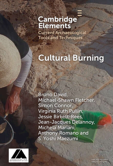 Book cover of Cultural Burning (Elements in Current Archaeological Tools and Techniques)