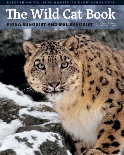Book cover of The Wild Cat Book: Everything You Ever Wanted to Know about Cats