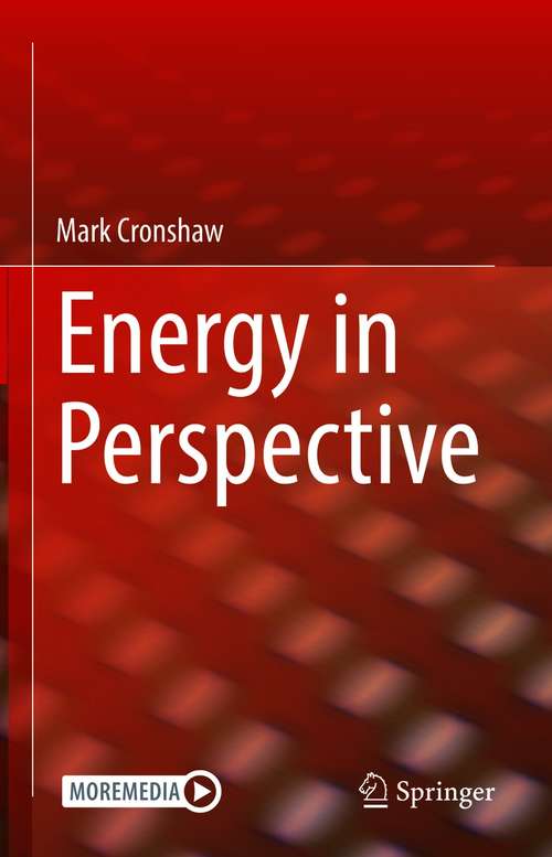 Book cover of Energy in Perspective (1st ed. 2021)