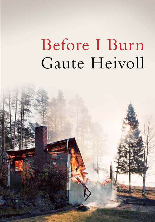 Book cover of Before I Burn (Main)