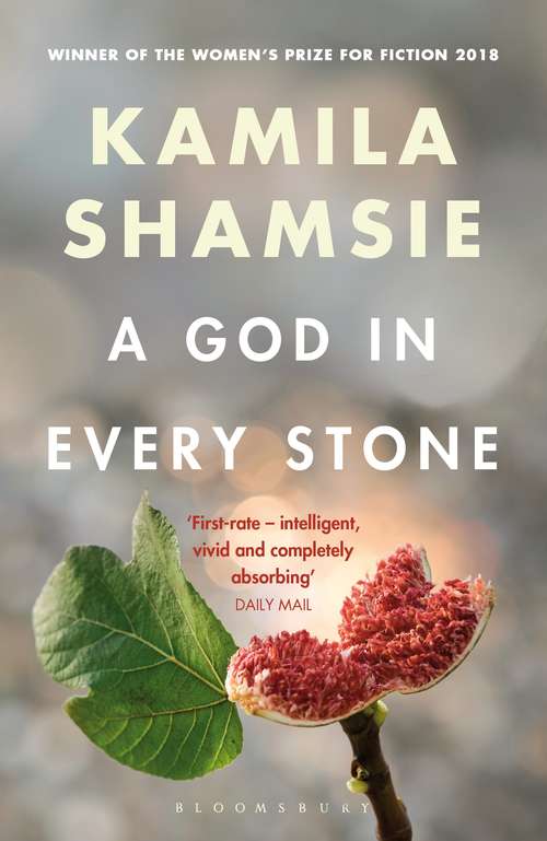 Book cover of A God in Every Stone