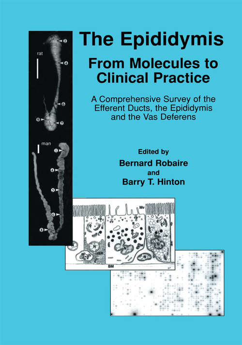 Book cover of The Epididymis: A Comprehensive Survey of the Efferent Ducts, the Epididymis and the Vas Deferens (2002)