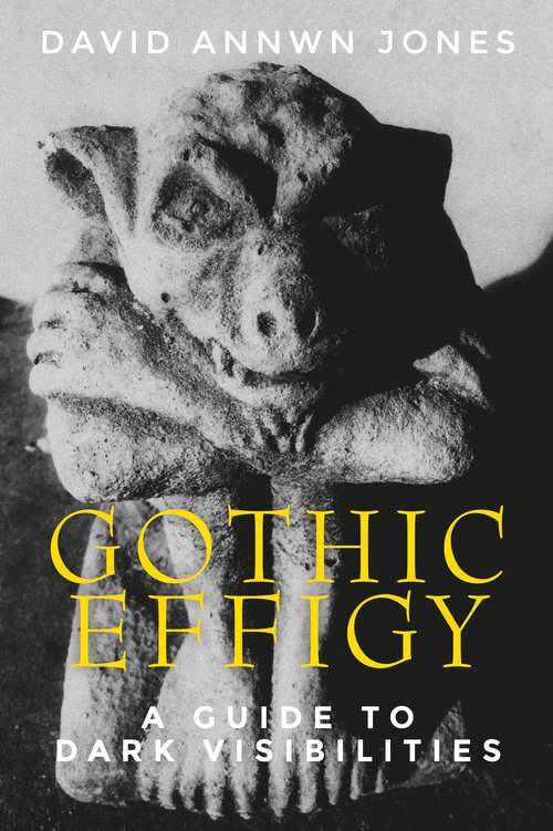 Book cover of Gothic effigy: A guide to dark visibilities