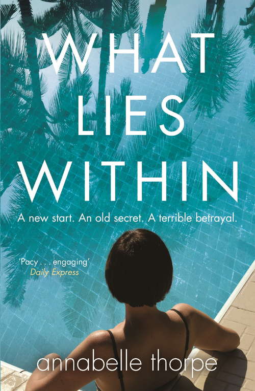 Book cover of What Lies Within: The perfect gripping holiday read for Summer 2018