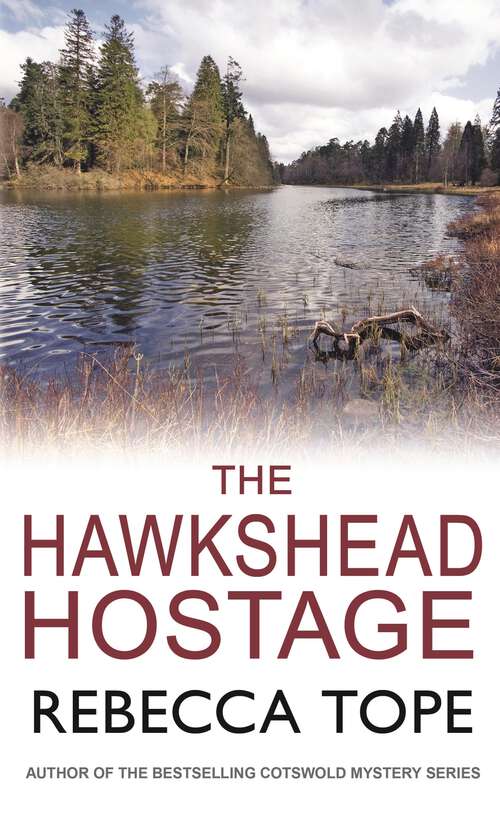 Book cover of The Hawkshead Hostage: The Must-read English Cozy Crime Series (Lake District Mysteries #5)